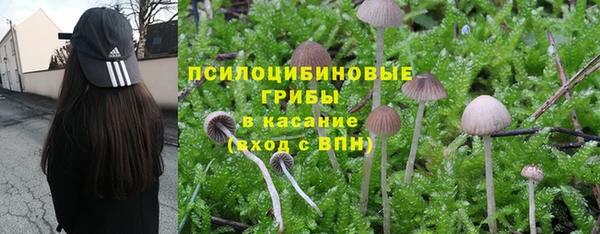 меф Алексин