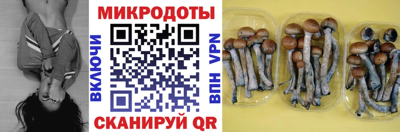 Галлюциногенные грибы MAGIC MUSHROOMS  Купить  Мураши 